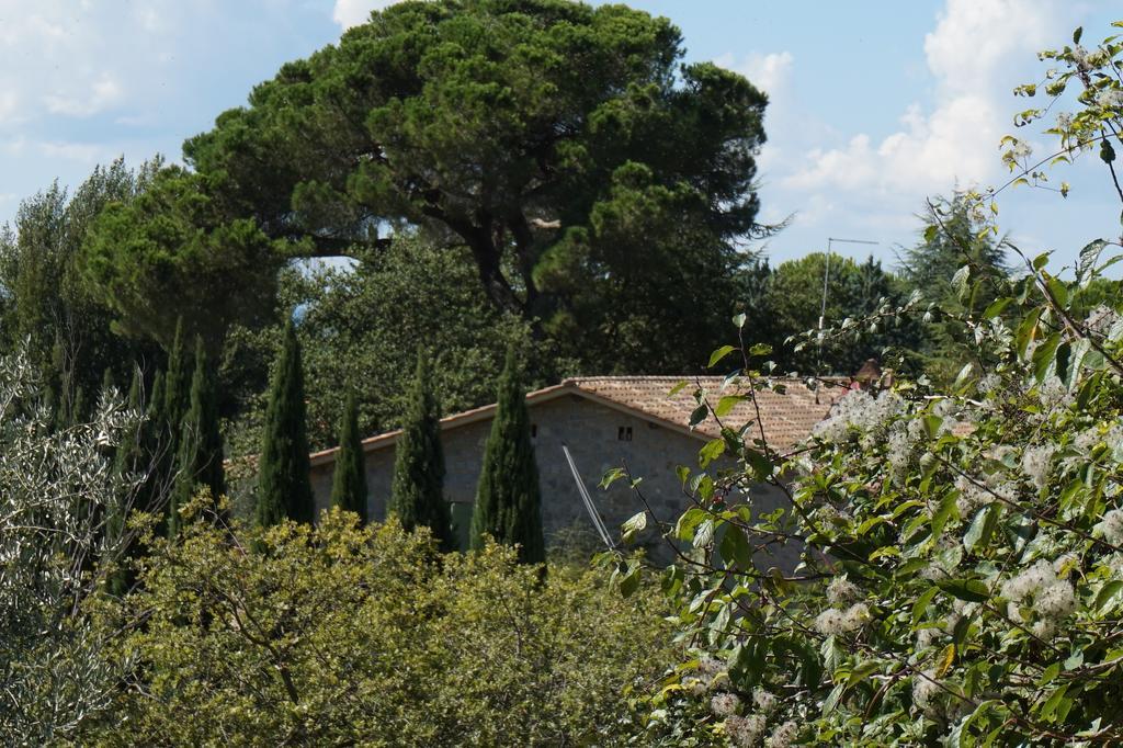 발리알리 Casa Lucia In Chianti B&B 외부 사진