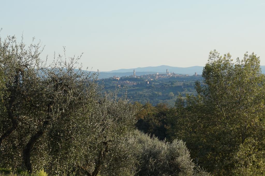 발리알리 Casa Lucia In Chianti B&B 외부 사진